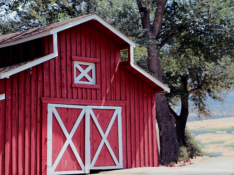 Equestrian Park Design