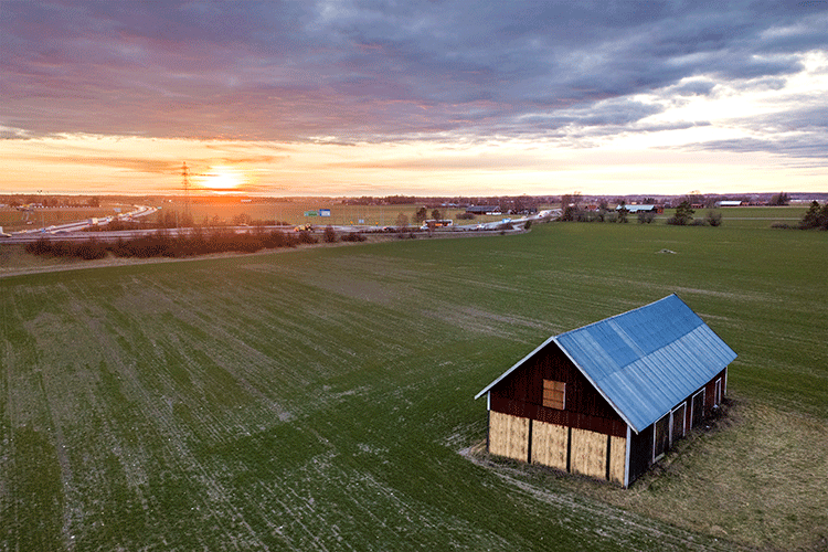 Horse Boarding Facility Design