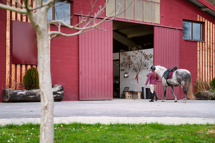 Horse Riding Club Design