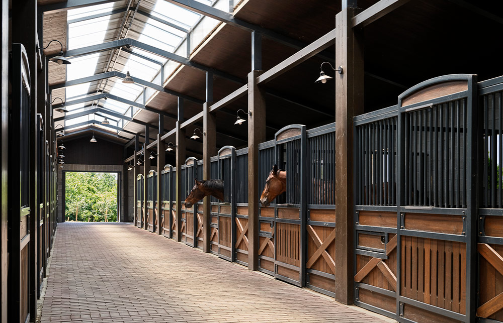 The Impact of Sustainable Design on Modern Equestrian Facilities