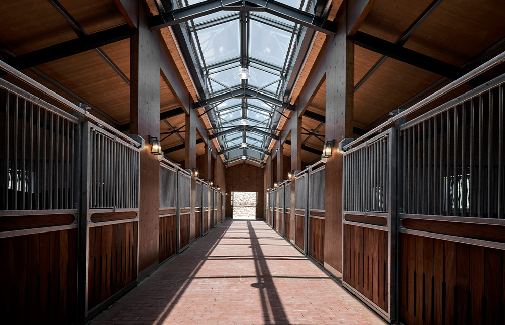 How Lighting Design Improves Performance and Welfare in Equestrian Facilities