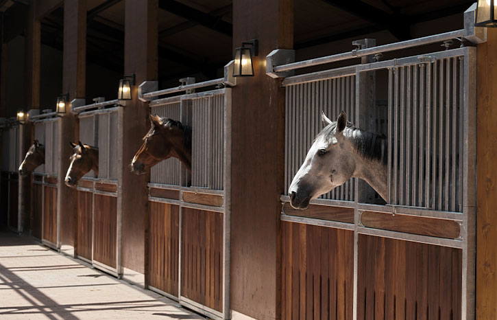هندسة الإسطبل: حين تلتقي رفاهية الخيل بالتصميم